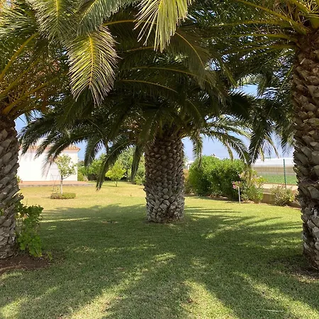 Mirador Cumbres Conil - Piscina Jardin Xl בית נופש קוניל דה לה פרונטרה